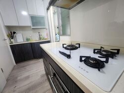Blk 312A Clementi Ridges (Clementi), HDB 3 Rooms #580051501